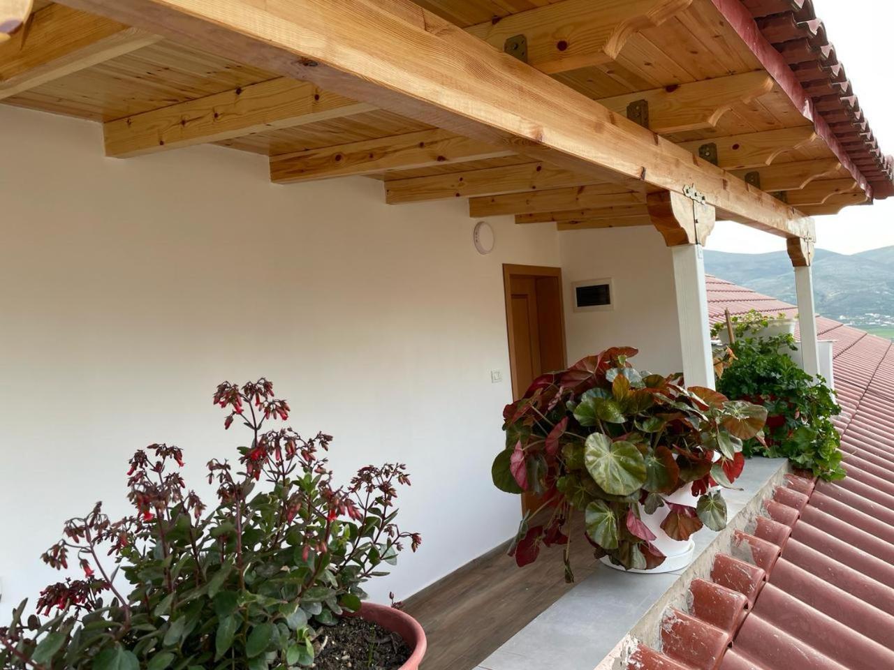 Guesthouse & Hospitality Berat Buitenkant foto