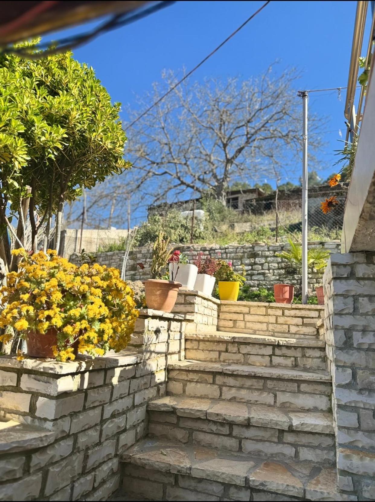 Guesthouse & Hospitality Berat Buitenkant foto